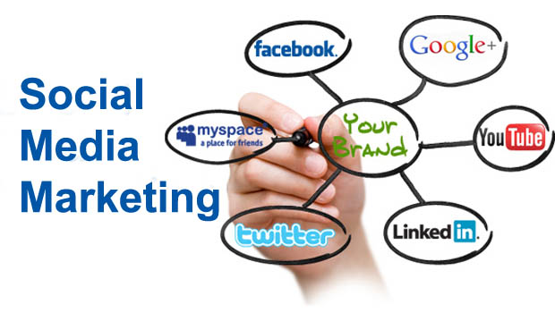 Social Media Management Services in Illinois, SMM Services, Best Social Media Marketing Company in India