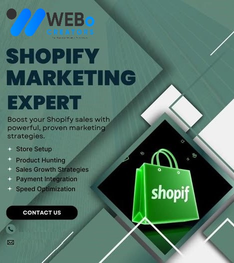 Shopify dropshipping marketing services Illinois 2026 ecommerce store visibility strategy