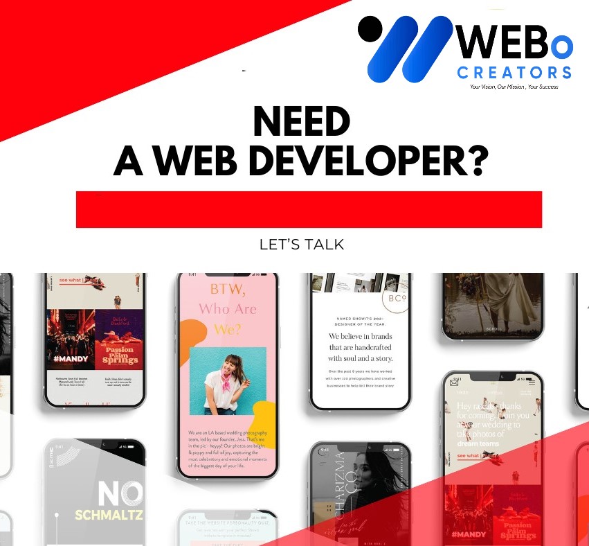 Web Developer | Web Developer Services | Web Developer Company in Illinois